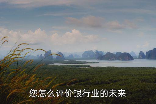 您怎么評(píng)價(jià)銀行業(yè)的未來