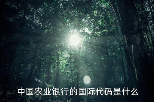  中國農業(yè)銀行的國際代碼是什么