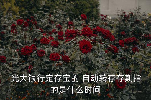 光大銀行自動理財(cái)