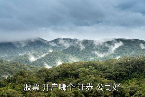 網(wǎng)上開(kāi)戶哪家證券公司好,開(kāi)戶選哪家證券公司