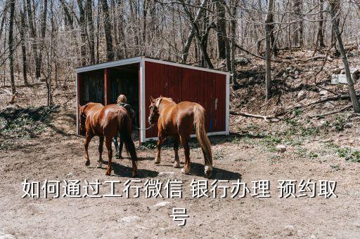 如何通過工行微信 銀行辦理 預(yù)約取號