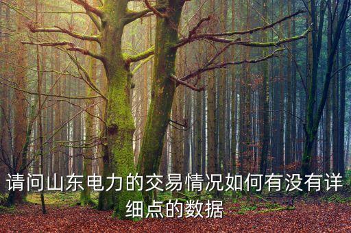 請(qǐng)問山東電力的交易情況如何有沒有詳細(xì)點(diǎn)的數(shù)據(jù)