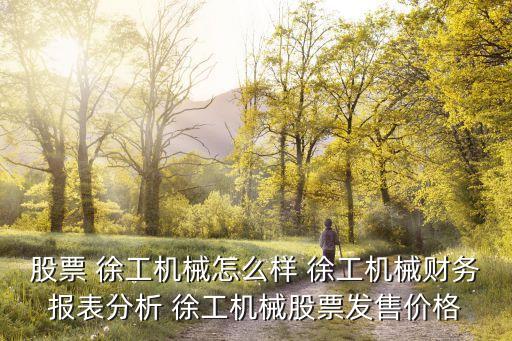 股票 徐工機(jī)械怎么樣 徐工機(jī)械財(cái)務(wù)報(bào)表分析 徐工機(jī)械股票發(fā)售價格