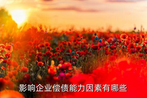 以技術(shù)開(kāi)發(fā)為主的公司負(fù)債