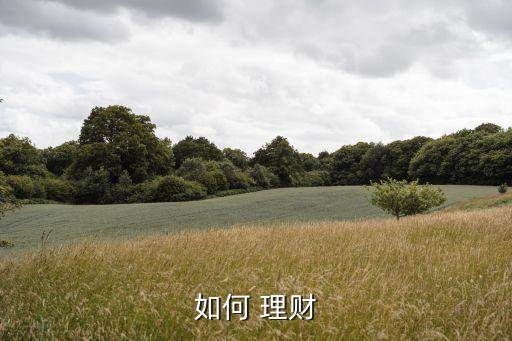 購(gòu)買(mǎi)投資與理財(cái)怎么做,怎樣做投資與理財(cái)收益
