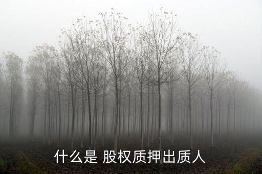 什么是 股權質押出質人