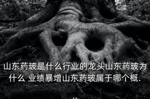 山東藥玻是什么行業(yè)的龍頭山東藥玻為什么 業(yè)績暴增山東藥玻屬于哪個(gè)概...