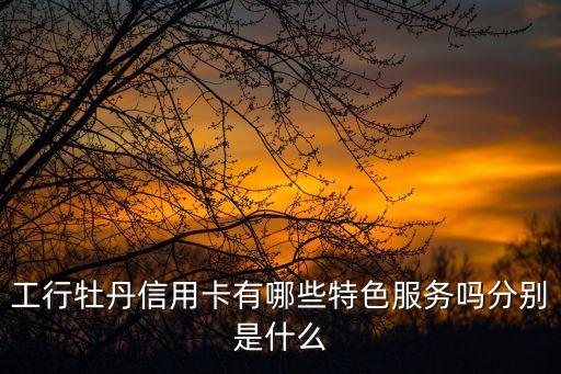 工行牡丹信用卡有哪些特色服務嗎分別是什么