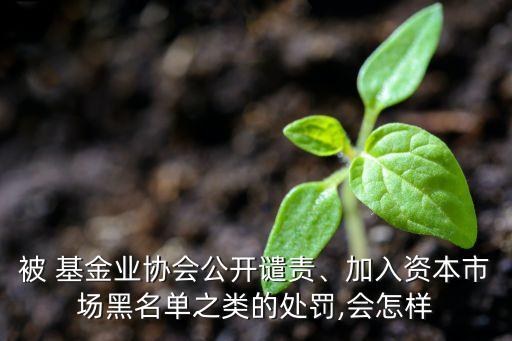 被 基金業(yè)協(xié)會公開譴責(zé)、加入資本市場黑名單之類的處罰,會怎樣