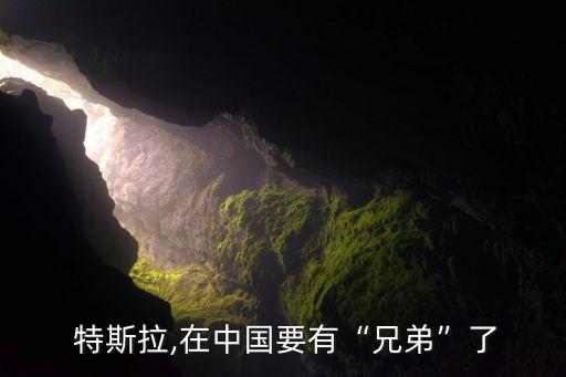  特斯拉,在中國(guó)要有“兄弟”了