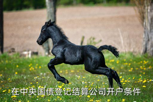 在中央國(guó)債登記結(jié)算公司開戶條件