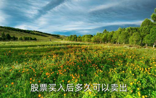 股票什么時候不能賣,賣股票的錢什么時候可以轉(zhuǎn)出來