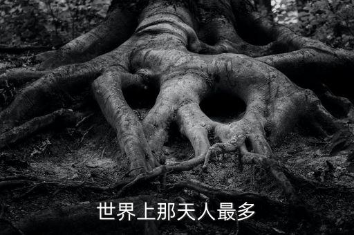 中國(guó)人口最高峰為多少