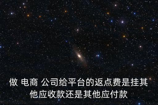 做 電商 公司給平臺的返點(diǎn)費(fèi)是掛其他應(yīng)收款還是其他應(yīng)付款
