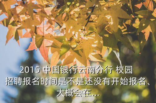 2015 中國銀行云南分行 校園 招聘報(bào)名時(shí)間是不是還沒有開始報(bào)名、大概會(huì)在...