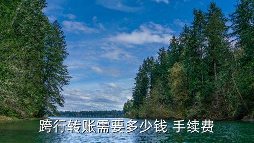 銀行手續(xù)費(fèi)評(píng)論,銀行買(mǎi)黃金手續(xù)費(fèi)多少