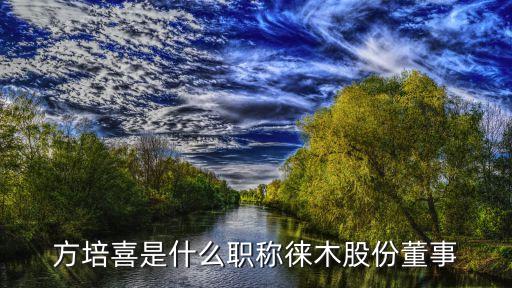 方培喜是什么職稱(chēng)徠木股份董事