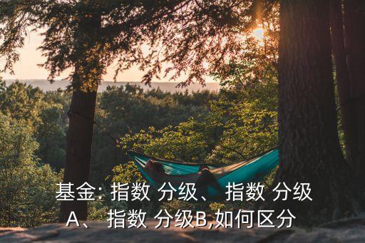  基金: 指數(shù) 分級(jí)、 指數(shù) 分級(jí)A、 指數(shù) 分級(jí)B,如何區(qū)分
