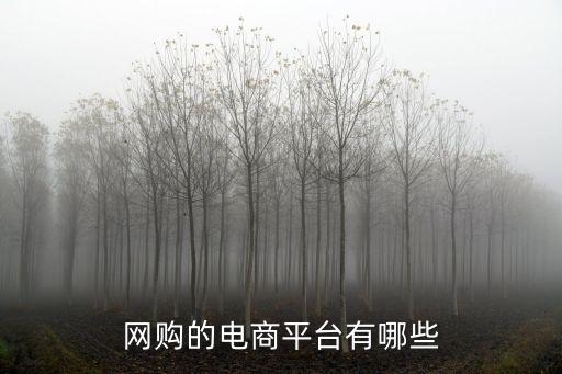 網購的電商平臺有哪些