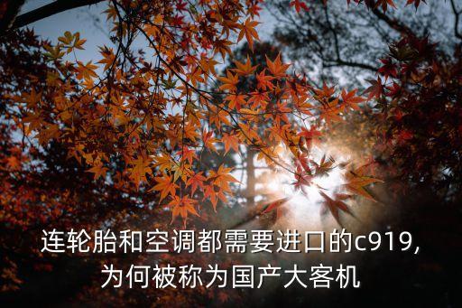中國通用飛機(jī)制造,沈陽瑞祥通用飛機(jī)制造