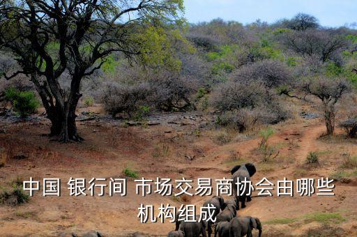 中國 銀行間 市場交易商協(xié)會(huì)由哪些機(jī)構(gòu)組成