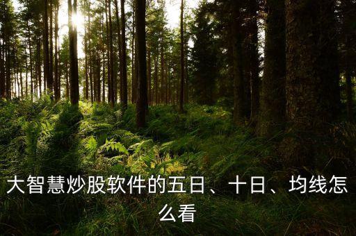 大智慧炒股軟件的五日、十日、均線怎么看