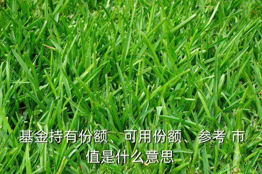  基金持有份額、可用份額、參考 市值是什么意思