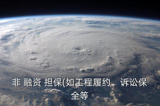 非 融資 擔(dān)保(如工程履約、訴訟保全等
