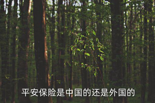  平安保險(xiǎn)是中國的還是外國的