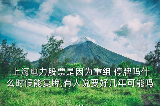  上海電力股票是因?yàn)橹亟M 停牌嗎什么時候能復(fù)牌,有人說要好幾年可能嗎...