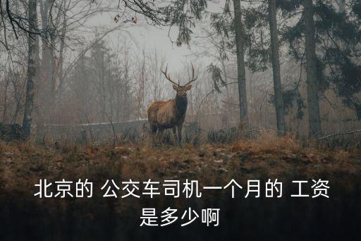  北京的 公交車司機(jī)一個月的 工資是多少啊