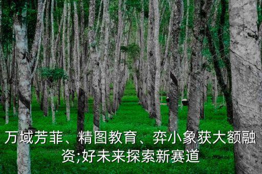 萬域芳菲、精圖教育、弈小象獲大額融資;好未來探索新賽道
