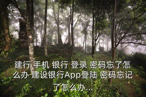 建行 手機 銀行 登錄 密碼忘了怎么辦 建設(shè)銀行App登陸 密碼忘記了怎么辦...