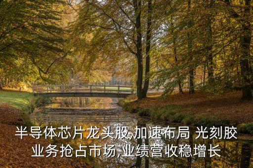 半導體芯片龍頭股,加速布局 光刻膠業(yè)務(wù)搶占市場,業(yè)績營收穩(wěn)增長