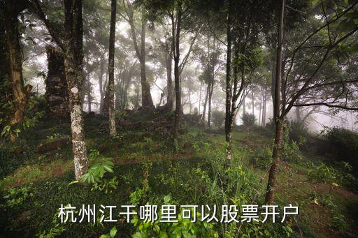 錢(qián)江理財(cái)投資,錢(qián)江投資集團(tuán)董事長(zhǎng)