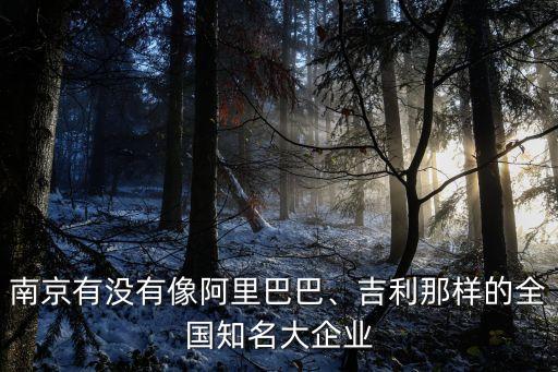 南京有沒有像阿里巴巴、吉利那樣的全國知名大企業(yè)
