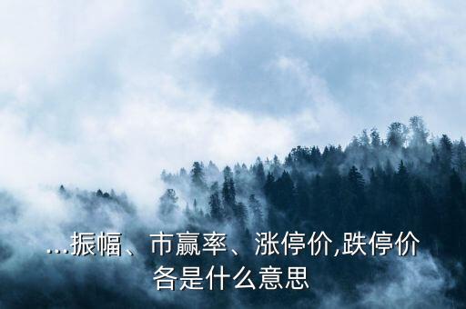 ...振幅、市贏率、漲停價(jià),跌停價(jià)各是什么意思