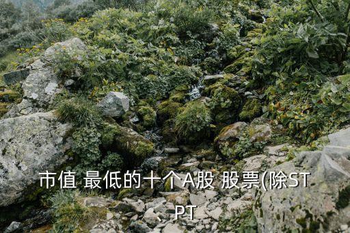 市值 最低的十個A股 股票(除ST、PT