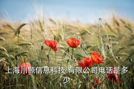 上海川源信息科技 有限公司電話(huà)是多少