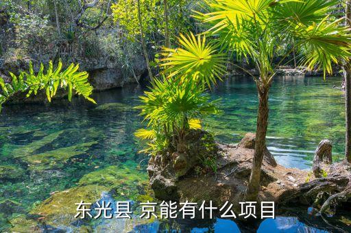 東光縣 京能有什么項目