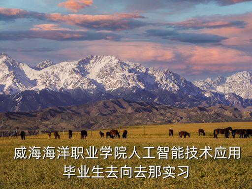  威海海洋職業(yè)學院人工智能技術應用畢業(yè)生去向去那實習