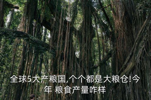 全球5大產(chǎn)糧國,個(gè)個(gè)都是大糧倉!今年 糧食產(chǎn)量咋樣
