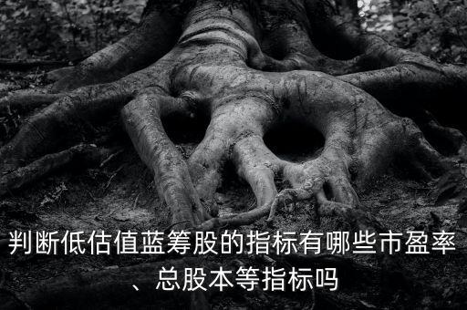 判斷低估值藍(lán)籌股的指標(biāo)有哪些市盈率、總股本等指標(biāo)嗎