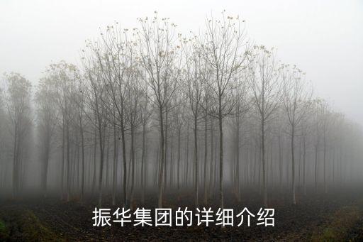  振華集團的詳細(xì)介紹