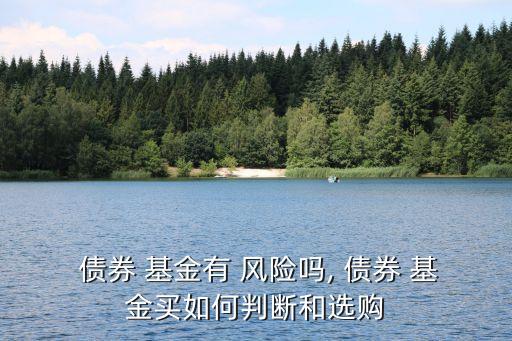  債券 基金有 風險嗎, 債券 基金買如何判斷和選購