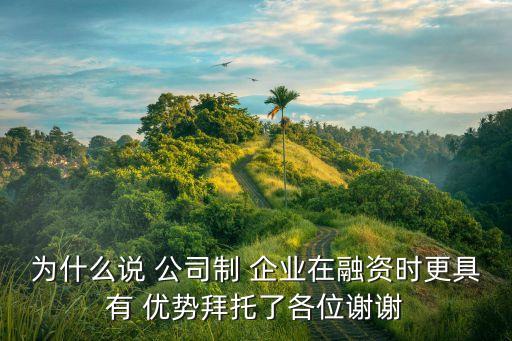 為什么說 公司制 企業(yè)在融資時更具有 優(yōu)勢拜托了各位謝謝
