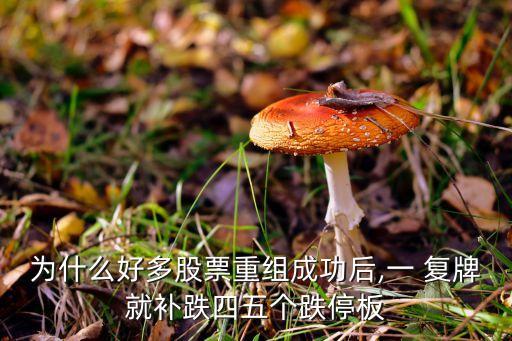 為什么好多股票重組成功后,一 復(fù)牌就補(bǔ)跌四五個跌停板