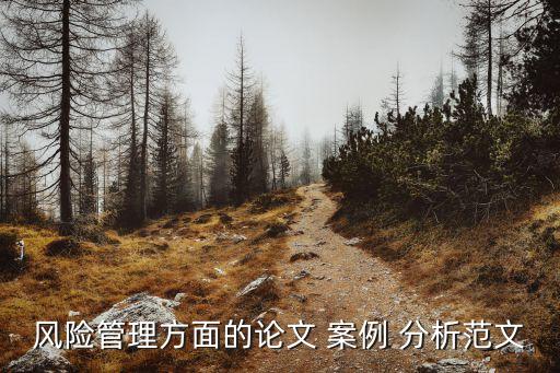 中國(guó)企業(yè)跨國(guó)并購失敗案例分析,2019—2022年跨國(guó)并購案例分析