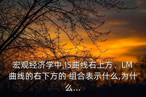 宏觀經(jīng)濟學中,IS曲線右上方、LM曲線的右下方的 組合表示什么,為什么...