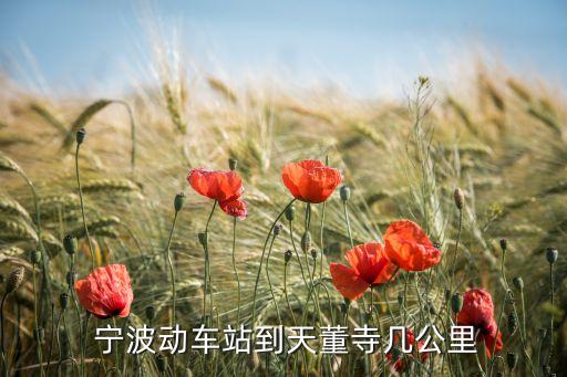  寧波動(dòng)車(chē)站到天董寺幾公里